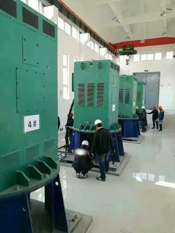 合浦某污水处理厂使用我厂的立式高压电机安装现场
